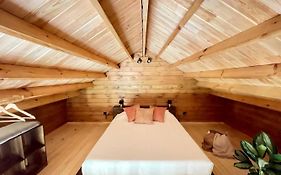 Mountain Eco Shelter 3